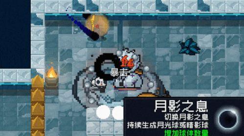 元气骑士最新版更新爆料,神秘新角色、酷炫武器与全新挑战来袭！